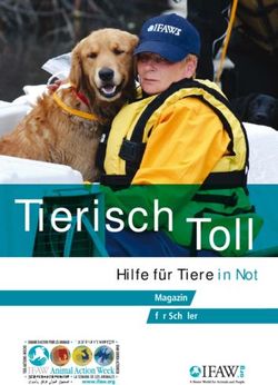 Tierisch Toll Hilfe f&uuml;r Tiere in Not - Magazin f&uuml;r Sch&uuml;ler