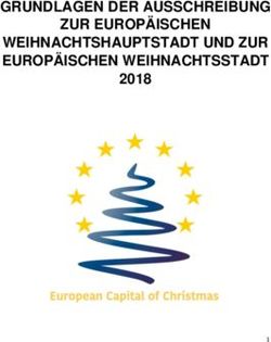 GRUNDLAGEN DER AUSSCHREIBUNG ZUR EUROPÄISCHEN WEIHNACHTSHAUPTSTADT UND ZUR EUROPÄISCHEN WEIHNACHTSSTADT 2018