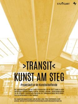 TRANSIT KUNST AM STEG - Projektaufruf an Kunstschaffende - IBA'27