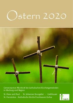 Ostern 2020 - Gemeinsamer Pfarrbrief der katholischen Kirchengemeinden in Marburg und Region St. Peter und Paul - St. Johannes Evangelist ...