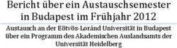 Bericht &uuml;ber ein Austauschsemester in Budapest im Fr&uuml;hjahr 2012 - Austausch an der E&ouml;tv&ouml;s-Lor&aacute;nd Universit&auml;t in Budapest &uuml;ber ein Programm des ...