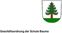 Gesch&auml;ftsordnung der Schule Bauma