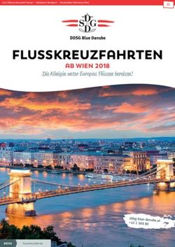 FLUSSKREUZFAHRTEN AB WIEN 2018 - Die K&ouml;nigin unter Europas Fl&uuml; en bereisen! - DDSG Blue Danube