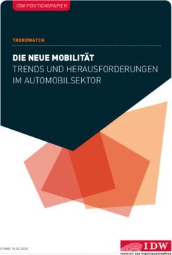 DIE NEUE MOBILIT&Auml;T TRENDS UND HERAUSFORDERUNGEN IM AUTOMOBILSEKTOR - IDW POSITIONSPAPIER
