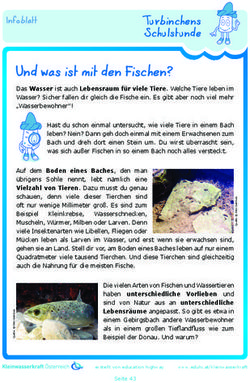 Und was ist mit den Fischen?