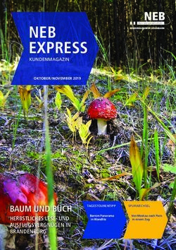 NEB EXPRESS - BAUM UND BUCH HERBSTLICHES LESE- UND AUSFLUGSVERGN&Uuml;GEN IN BRANDENBURG