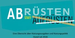 Eine &Uuml;bersicht &uuml;ber R&uuml;stungsausgaben und R&uuml;stungspoli6k -Stand Juli 2018- Abr&uuml;sten statt Aufr&uuml;sten