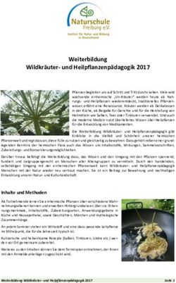 Weiterbildung Wildkr&auml;uter- und Heilpflanzenp&auml;dagogik 2017