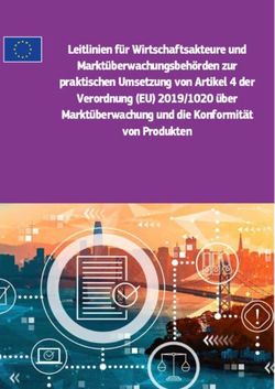 Leitlinien f&uuml;r Wirtschaftsakteure und Markt&uuml;berwachungsbeh&ouml;rden zur praktischen Umsetzung von Artikel 4 der Verordnung (EU) 2019/1020 &uuml;ber ...