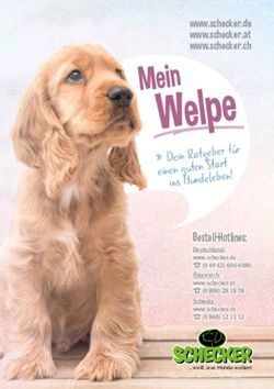 Dein Ratgeber für ins Hundeleben! - Schecker