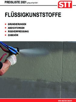 FL&Uuml;SSIGKUNSTSTOFFE GRUNDIERUNGEN ABDICHTUNGEN RISSVERPRESSUNG ZUBEH&Ouml;R - PREISLISTE 2021 G&Uuml;LTIG AB APRIL 2021 - STT GMBH
