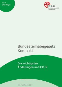 Bundesteilhabegesetz Kompakt - Die wichtigsten Änderungen im SGB IX - REHA - Bundesarbeitsgemeinschaft für Rehabilitation