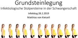Grundsteinlegung Infektiologische Stolpersteine in der Schwangerschaft - Infekttag 28.2.2019 - infekt.ch