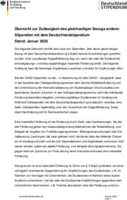 &Uuml;bersicht zur Zul&auml;ssigkeit des gleichzeitigen Bezugs anderer Stipendien mit dem Deutschlandstipendium Stand: Januar 2020