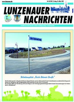 LUNZENAUER - Stadt Lunzenau