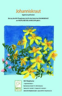 Johanniskraut - NHV Theophrastus