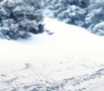 Winter-Fitness-Check Inkl. Hygiene-Checkpunkte Funktionsprüfung von sicherheitsrelevanten Fahrzeugteilen mittels Checkliste - Friedrich Thiele KG