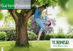 AUSGABE 1 2019 - Turner GmbH