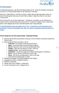 DIE RAUHN&Auml;CHTE - HEILZEIT21