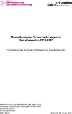 Massnahmenplan Schwerpunktprogramm Suizidprävention 2019-2022