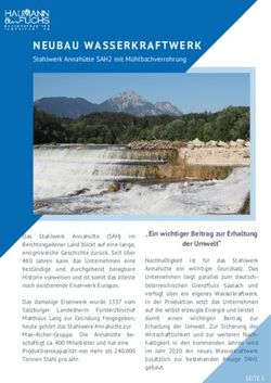 NEUBAU WASSERKRAFTWERK - Stahlwerk Annahütte SAH2 mit Mühlbachverrohrung - Haumann und Fuchs