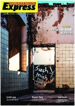 Fairtrade-Stadt Marburg - Licht aus Verlust der Nacht - Marbuch Verlag