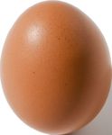 EIGEWICHTSVERLUST Kontrollpunkt für eine perfekte Inkubation - Lohmann Breeders