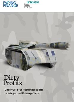 Unser Geld für Rüstungsexporte in Kriegs- und Krisengebiete - Facing Finance