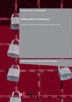 Subversion im Cyberraum - ifa-Edition Kultur und Au&szlig;enpolitik - Andreas Heinemann-Gr&uuml;der und Johannes Wiggen