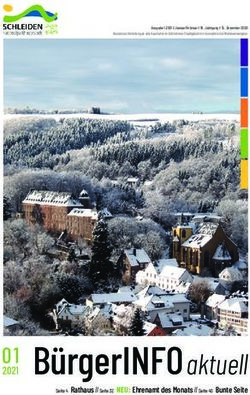 B&uuml;rgerINFO aktuell - Stadt Schleiden