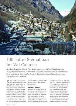 100 Jahre Steinabbau im Val Calanca - Alfredo Polti SA