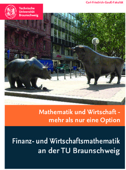 Finanz- und Wirtschaftsmathematik an der TU Braunschweig - Mathematik und Wirtschaft - mehr als nur eine Option