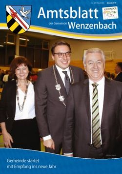 Amtsblattan alle Haushalte - der Gemeinde Wenzenbach
