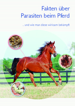 Fakten &uuml;ber Parasiten beim Pferd ... und wie man diese wirksam bek&auml;mpft