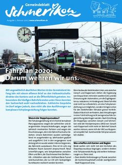 Fahrplan 2020: Darum wehren wir uns - Gemeindeblatt - Gemeinde Schmerikon
