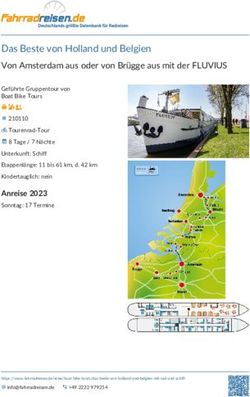 Das Beste von Holland und Belgien - Von Amsterdam aus oder von Br&uuml;gge aus mit der FLUVIUS