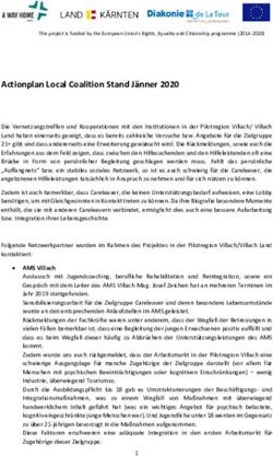 Actionplan Local Coalition Stand J&auml;nner 2020