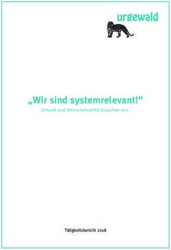 "Wir sind systemrelevant!" - Umwelt und Menschenrechte brauchen uns - Tätigkeitsbericht 2018 - urgewald eV