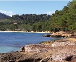Sommerprogramm 2019 Naturparadies Mallorca - MasioTours Mallorca Masio Vicens info ...
