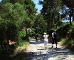Sommerprogramm 2019 Naturparadies Mallorca - MasioTours Mallorca Masio Vicens info ...