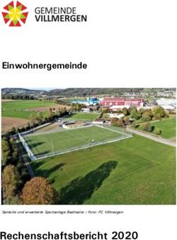 Rechenschaftsbericht 2020 - Einwohnergemeinde - Gemeinde Villmergen