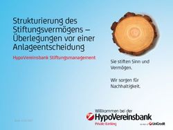 Strukturierung des Stiftungsverm&ouml;gens - &Uuml;berlegungen vor einer Anlageentscheidung - HypoVereinsbank Stiftungsmanagement - Regierung von Oberfranken