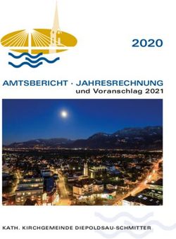 2020 AMTSBERICHT JAHRESRECHnung - und Voranschlag 2021 - Pfarrei Diepoldsau ...