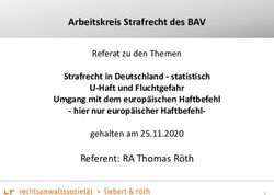 Arbeitskreis Strafrecht des BAV - Referent: RA Thomas R&ouml;th Strafrecht in Deutschland - statistisch - cloudfront.net