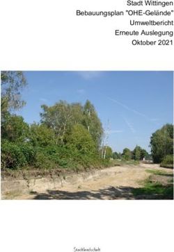 Stadt Wittingen Bebauungsplan "OHE-Gel&auml;nde" Umweltbericht Erneute Auslegung Oktober 2021 - Stadtlandschaft
