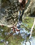 Heft 1/2019 - Deutscher Alpenverein Darmstadt-Starkenburg