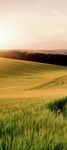 Heft 1/2019 - Deutscher Alpenverein Darmstadt-Starkenburg