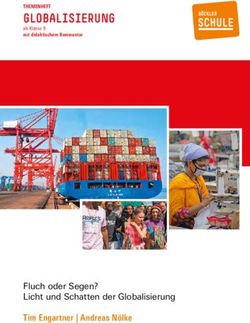 GLOBALISIERUNG - Tim Engartner | Andreas Nölke Fluch oder Segen? Licht und Schatten der Globalisierung - Hans-Böckler-Stiftung
