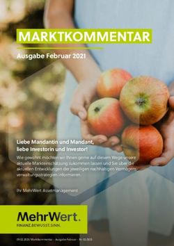 AUSGABE FEBRUAR 2021 - 09.02.2021/ MARKTKOMMENTAR - AUSGABE FEBRUAR - NR. 02/2021 - MEHRWERT | FINANZ