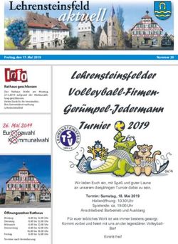 Lehrensteinsfelder Volleyball-Firmen-Ger&uuml;mpel-Jedermann Turnier 2019 - lokalmatador